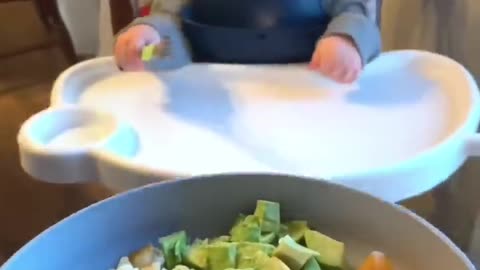 Toddler Dinner Idea!