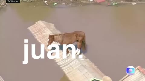 juan.