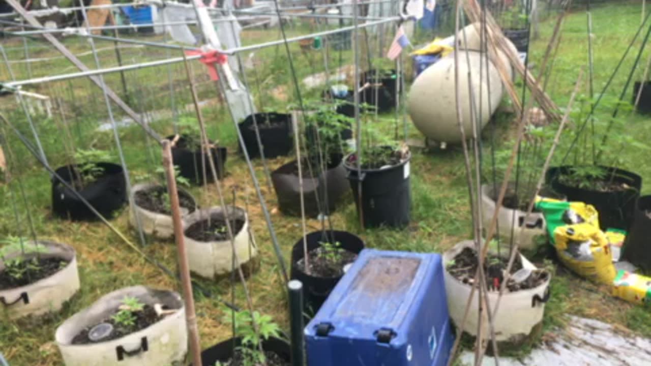 Chickens home to roost p 3