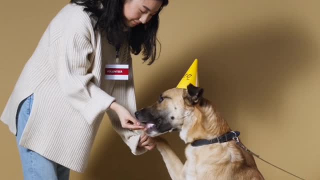 Cute girl celebrating her dog birthday