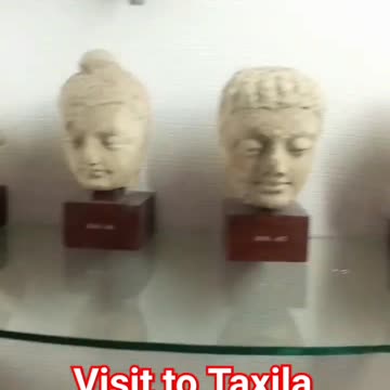 A view from History / MUSEUM