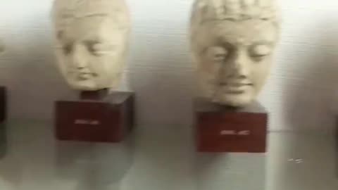 A view from History / MUSEUM