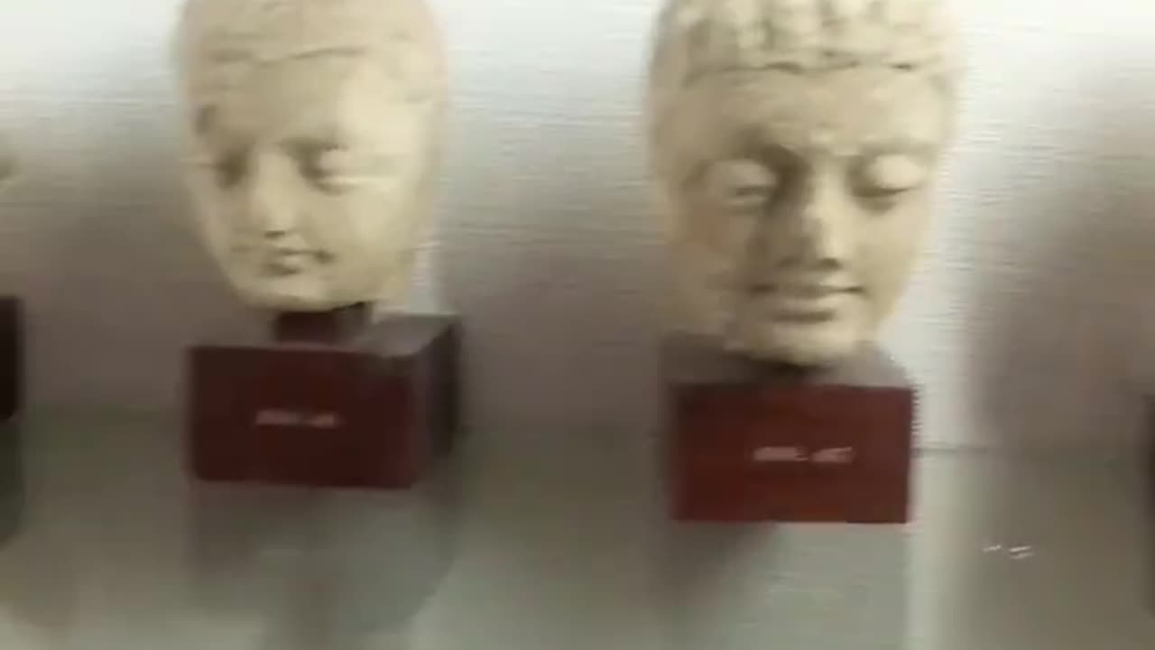 A view from History / MUSEUM