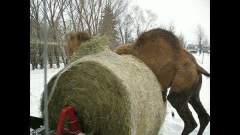 2011- George Was In A Rare Mood!