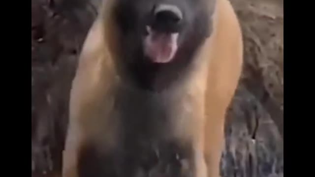 Boi got moves!!! 😳🤣🤣👌