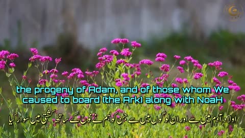 Beautiful Recitation (Tilawat)Surah Maryam A Profound Spiritual Journey