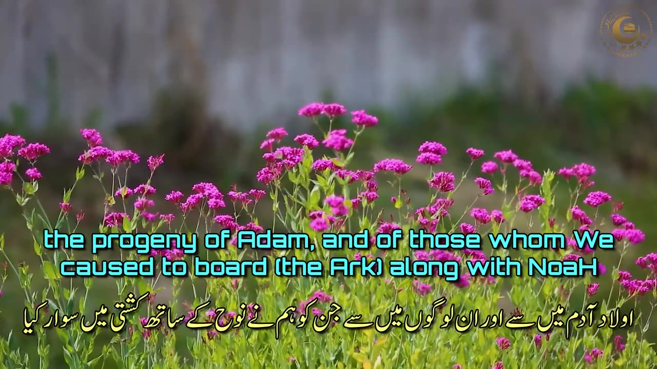 Beautiful Recitation (Tilawat)Surah Maryam A Profound Spiritual Journey
