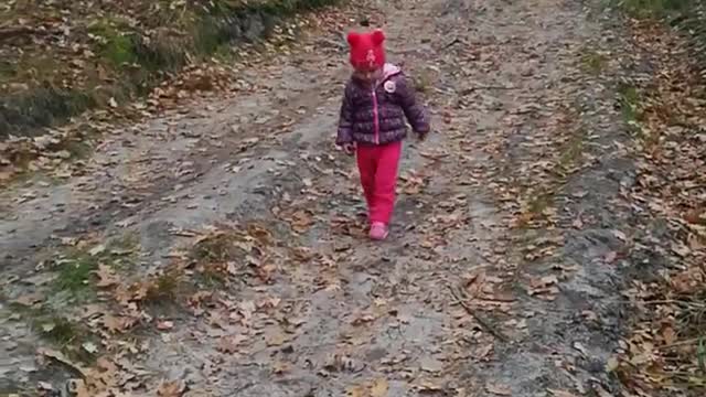 a walk in the forest