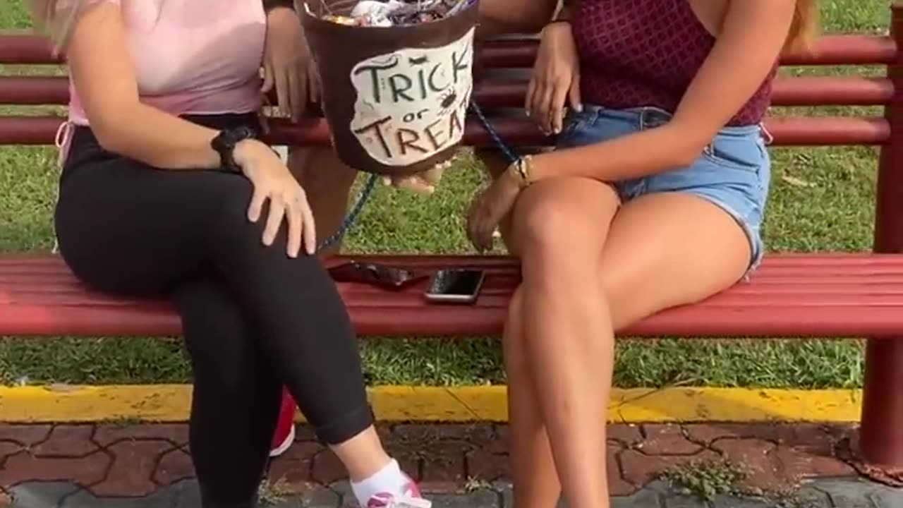 HAND IN BUCKET ( PRANK )