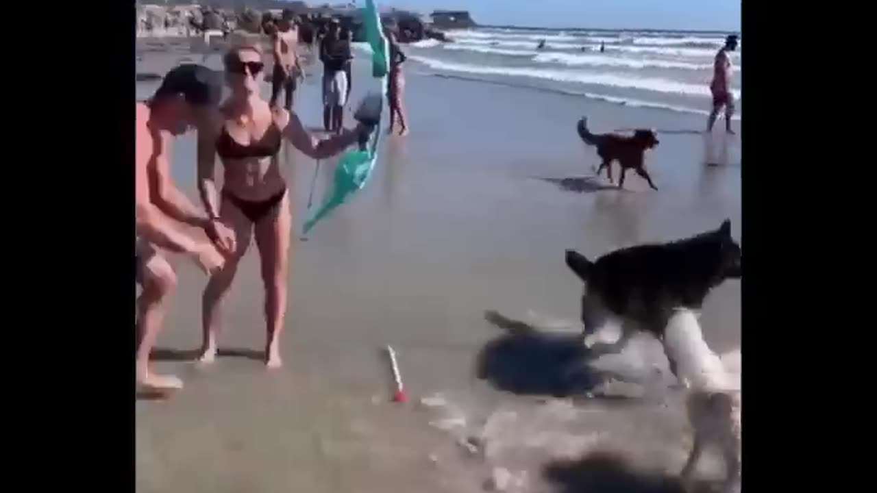 Funny animal 🥰🤟🤟