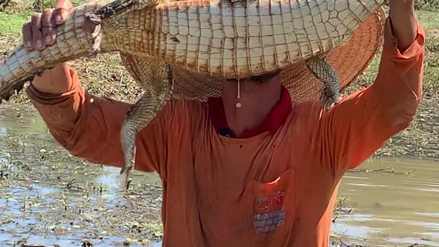 Uncle Jumps and Captures Baby Alligator Then Releases it