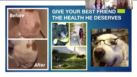 Animal Health and Nrf2 Activation