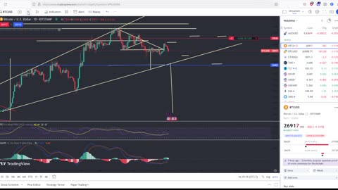 Massive Rally In The Stock Market!! Will This Rally Continue!?!