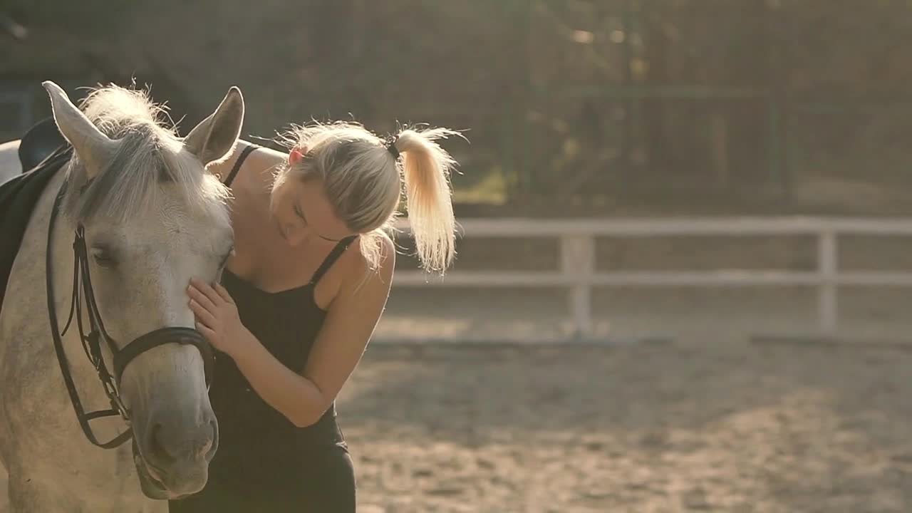 Woman's Hand Stroking the Horse