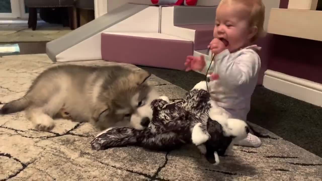 The Best Year Of Our Lives! Baby And Puppy Growing Up Together! (Cutest Ever!!)