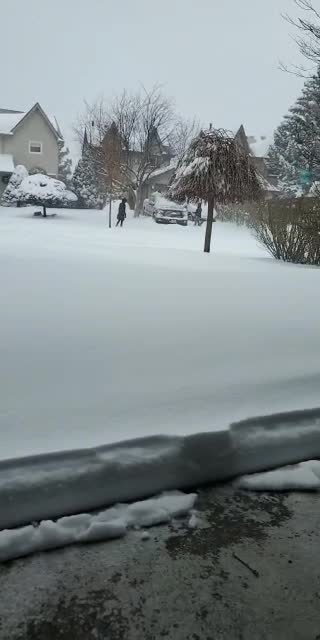 Snow Storm in Canada - B