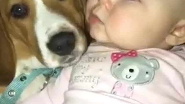 Cute baby and dog lick each other in the mouth,#short video