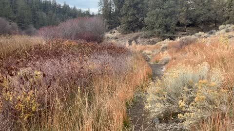 Central Oregon – Steelhead Falls – Beautiful Autumn Colors