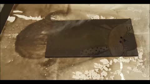 Immersive cleaning carpet. You can never guess the color of carpet!