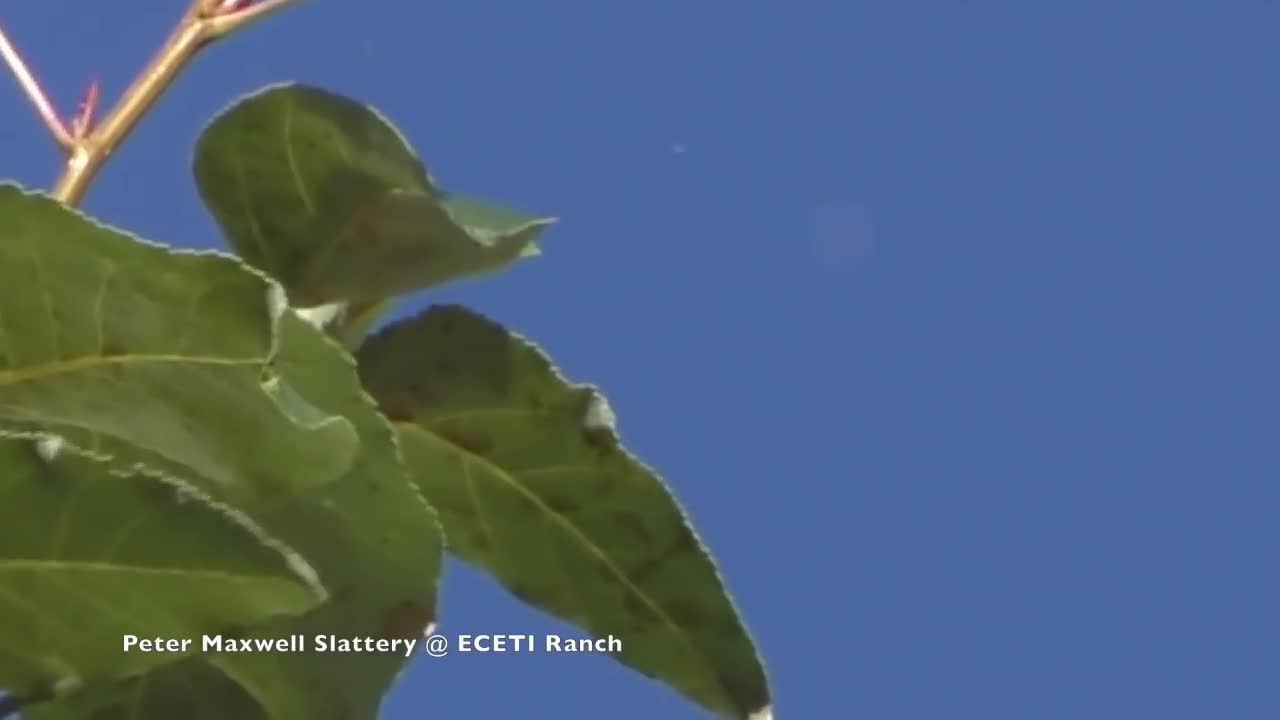 UFO over ECETI Ranch - 29th of Sep 2018