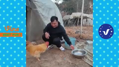 AWW New Funny Videos 2022 😂