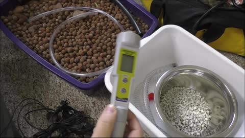 Prepping For Aquaponics