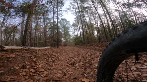 Downhill, Following The Trail