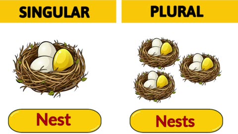 Singular Noun Plural Noun | Nouns | Singular and plural | Basic English grammar
