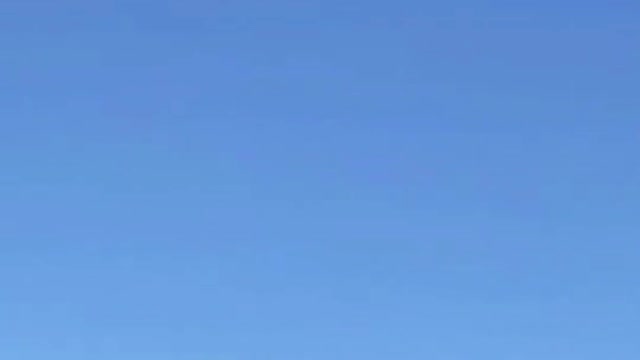 Eagle, an expert hunter