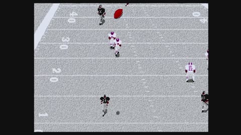 Madden96 (Sega Genesis) Vikings vs Raiders Part2