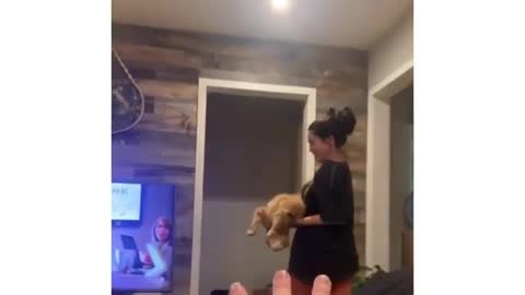 Cat doesn't wanna take a bath
