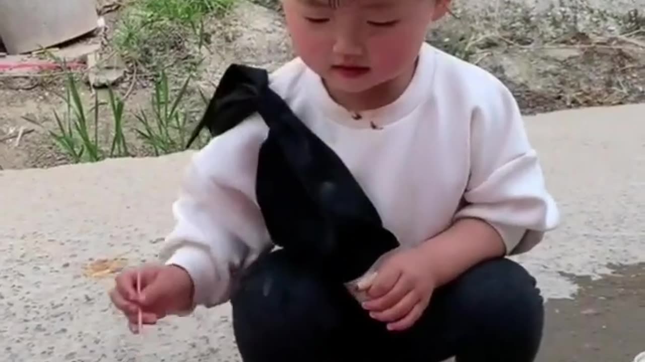 Cute dogs, funny cats and adorable babies - brighten your day with the latest batch of viral videos.