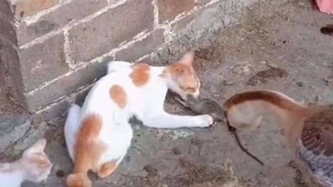 Don’t touch