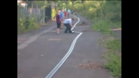 brooklands scalextric world record