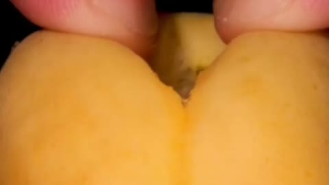 Tearing peach 🍑 under ultra microscope 🔬#asmr #satisfying