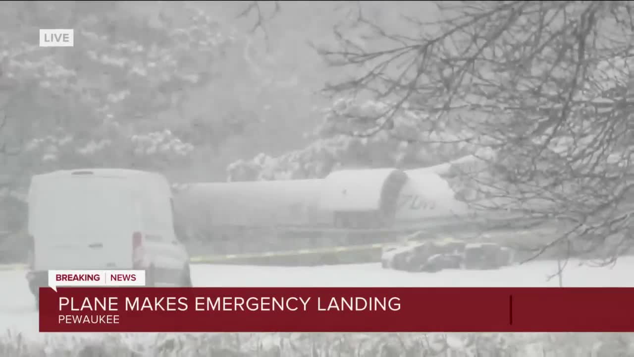 Plane carrying 50+ dogs lands on Western Lakes Golf Course, several people injured_2