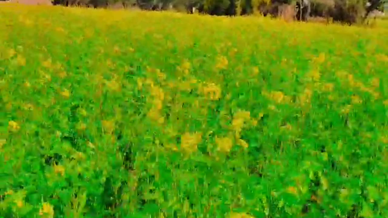 Nature feel