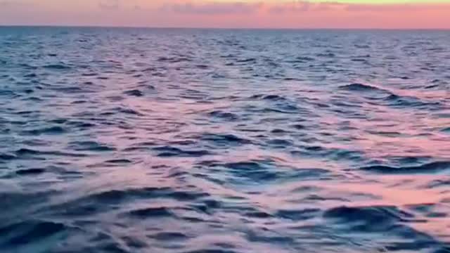 sea