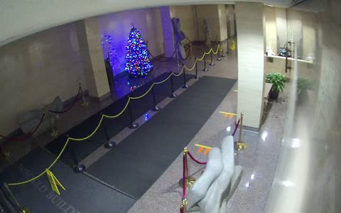 8002FCOB01MainLobby_2021-01-05_03h20min00s463ms.mp4