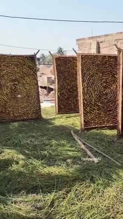 Anti-Loosh Video Number 137. LOOSH is real and bad. Explained below and watch the video