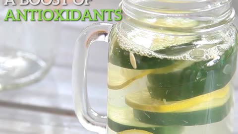 Fat Burner: Detox Lemon And Lime Cucumber Mint Water