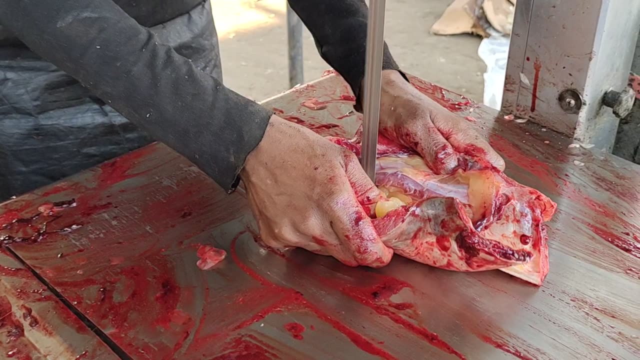 big pangas fish fast cutting video in market l fish cutting skills