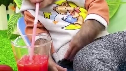 The watermelon juice is delicious #monkey #cutemonkey #monkeybaby #juice