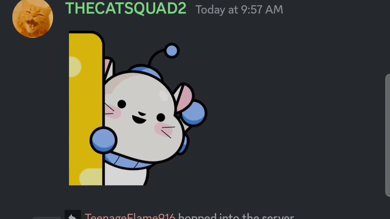 IF I GET A PING ON DISCORD THE VIDEO ENDS