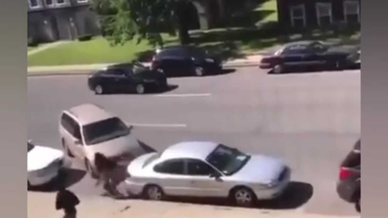 Apparently they didn't read the "No Guns Allowed" sign on their way in.