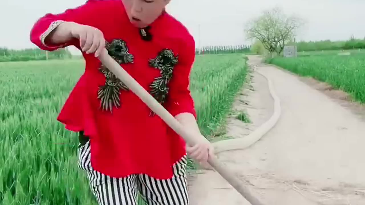 Best Funny Videos Chinese Funny clips daily #shorts