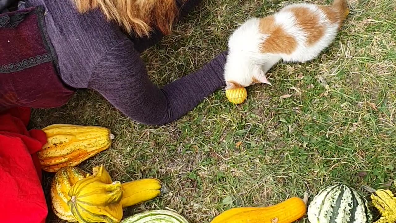 Emma and the cat