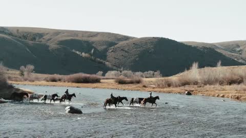 Women in the Wilderness: Official Trailer