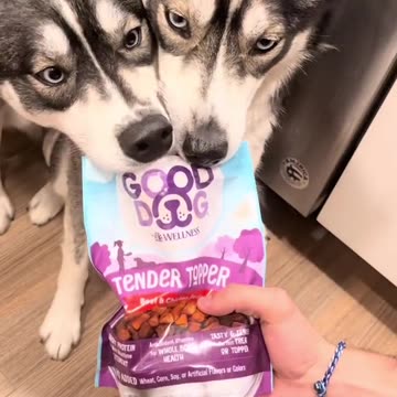 Answering one of the most asked questions we get! Good boys deserve the best food 💕