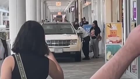 Woman drives SUV into shopping mall